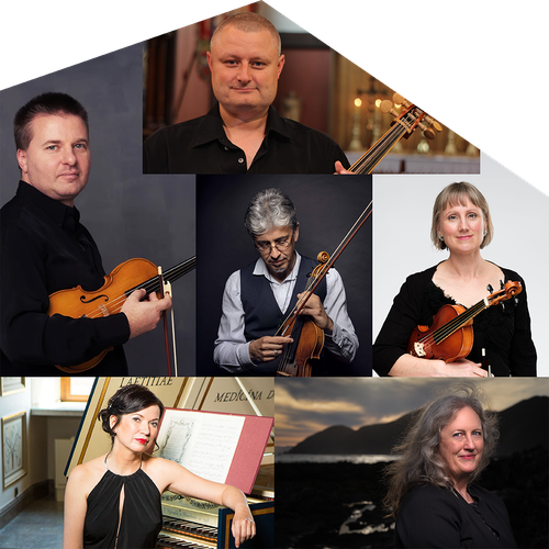 Shape 5_Southern Baroque