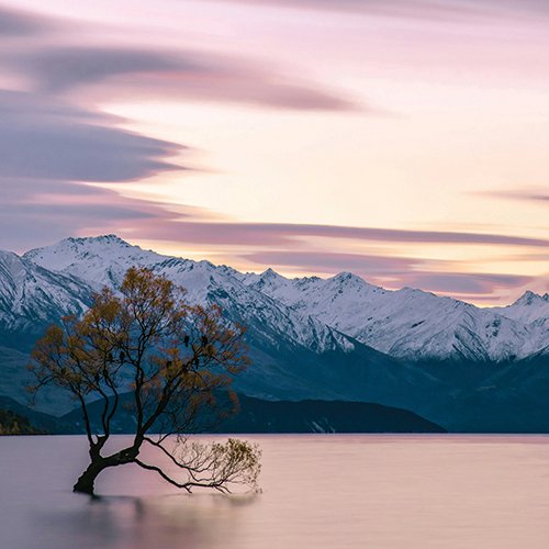 winterdaydreams500x500